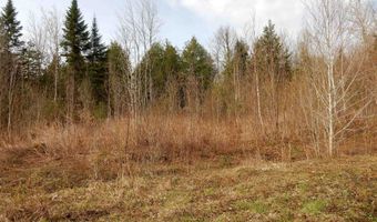 Burton Hill Road, Barton, VT 05822