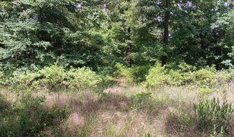 East Highway 3, Atoka, OK 74525