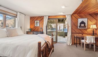 125 E Hyman Ave 1A, Aspen, CO 81611