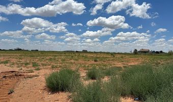 SE CR 2870, Andrews, TX 79714