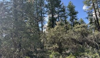 Thunder Bear Road, Bonanza, OR 97623
