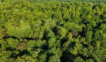 24 Joyful Spgs, Beattyville, KY 41311