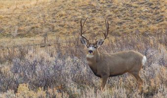 TBD Iron Mountain Rd, Chugwater, WY 82210