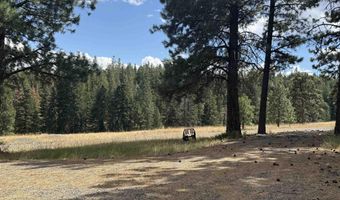 Tbd Harlow Ridge Rd - Cloverland Estates 36 & 37, Asotin, WA 99402