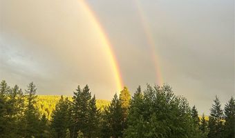 1173 Cygnet Trl, Bigfork, MT 59911