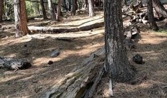 758 Yuroc Dr, Arnold, CA 95223