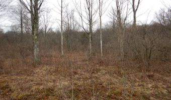 County Route 16, Angelica, NY 14709