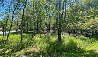 EV804 Stoney Mountain Road & Milton Way, Albrightsville, PA 18210