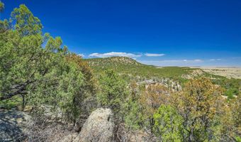 Rikki Rowdy Place, Aguilar, CO 81020