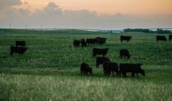885 Th Rd, Bassett, NE 68714