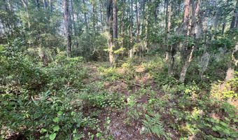 Strawhorn Creek Road lot 2 & 3, Aurora, NC 27806