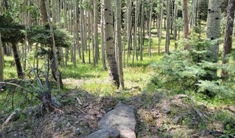 Lot 51 Via de Maria, Angel Fire, NM 87710