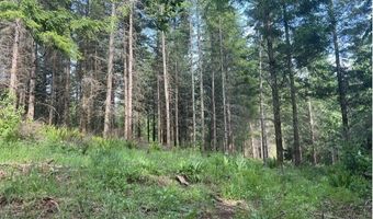 NW LODGE Rd, Banks, OR 97106
