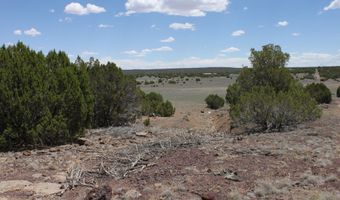 N8190, Concho, AZ 85924