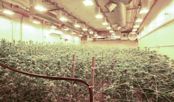 244 Sanford Rd, Alfred, ME 04002