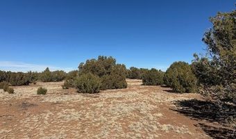 30 CR 8051 Rd, Concho, AZ 85924