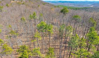 Larkin Mountain, Amherst, VA 24521
