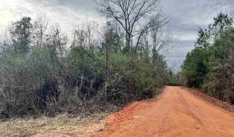 21000 Block Highway 21, Beatrice, AL 36425