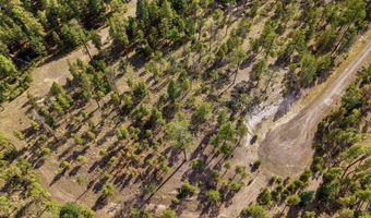 CR 2193, Alpine, AZ 85920