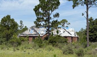 19660 NW Alice Vreeland Rd, Altha, FL 32421