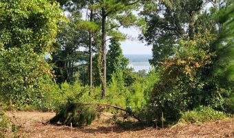 Lot 13 A Mountain View way 13 A, Bainbridge, GA 39819
