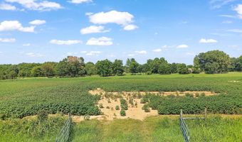 2966 N U.S. 412, Alamo, TN 38001