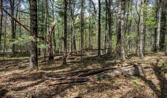 S Badger Lane lot 38, Arkdale, WI 54613