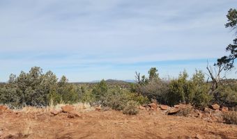 S2 Lot 92 Off Indian Springs, Ash Fork, AZ 86320