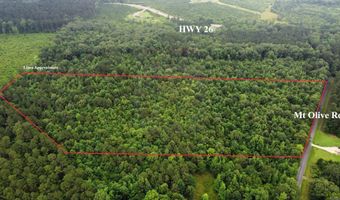 mt Olive Road, Arkadelphia, AR 71923