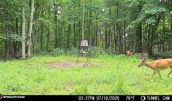 566 A Tunnel Ridge Rd, Argillite, KY 41121