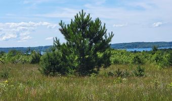Parcel D Cemetery Road, Alden, MI 49612