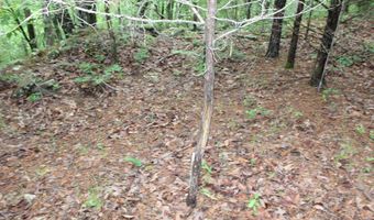 E Mountain Road, Bee Branch, AR 72013