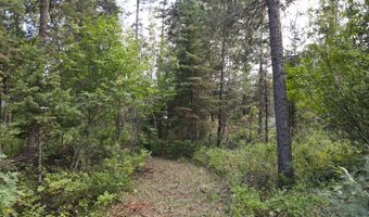 PINE Street lot 4, Alpine, WY 83128