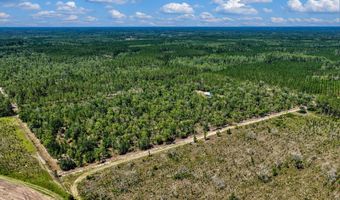 7000 NW 7th Way, Bell, FL 32619