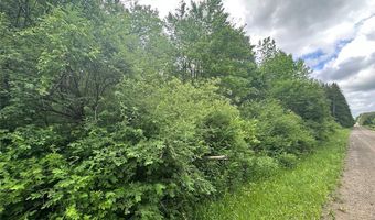 Townline Road, Angelica, NY 14709