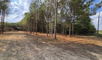 5 88 Acres COVINGTON AVENUE Lot 16 Trac1 And Trac2, Attalla, AL 35954