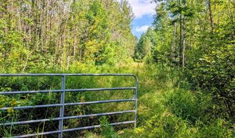 33 Acres Off Net Riv, Amasa, MI 49903