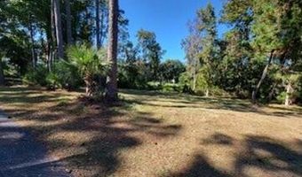 19 Outer Banks Way, Daufuskie Island, SC 29915