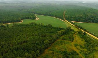 1037 Cr 300, Big Creek, MS 38914