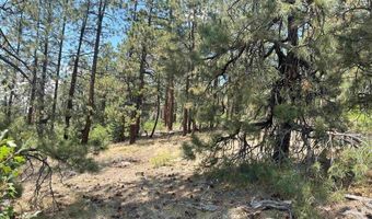 17 Snow Way Dr, Bayfield, CO 81122