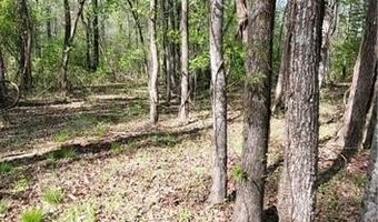 1642 R2 Kersey Valley Rd, Archdale, NC 27265