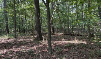 WEAVER ROAD, Amissville, VA 20106