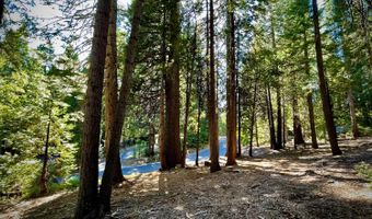 3285 Pocatello Cir, Camp Connell, CA 95223