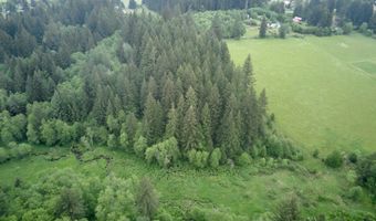 NE 389th St, Amboy, WA 98601