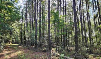 0 Lowery Rd Lot #11, Atmore, AL 36502