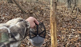 Farm Rd 1187 Lc, Ash Grove, MO 65604