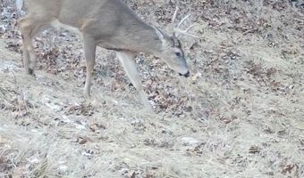 197 Th Trl, Albia, IA 52531