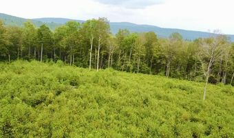 224 Arrau Rd, Andover, VT 05143