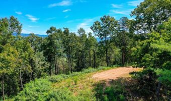 5 Black Rock Trl 5, Andrews, NC 28901
