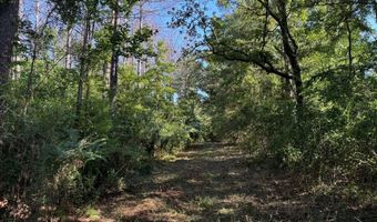 SW Auburn Drive, Bogue Chitto, MS 39629